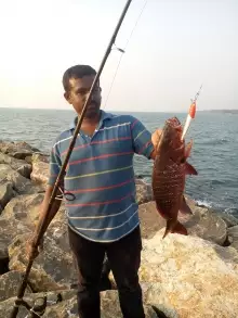 Red snaper
