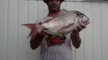 Kayak Snapper