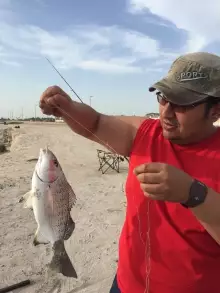 al Bahya fishing with ehab