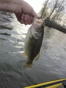 First Bass of the spring by Kayak