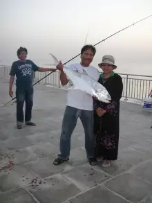 Lafish in Jubail