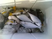 Al Khobar