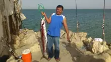 KIng Fish