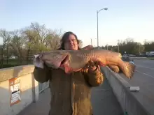 DAN'S BIG FISH