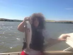 Harley 23 inch striper delta ca