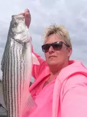 Striper