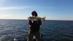 West Bay Redfish