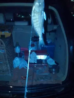 Night Fishing01