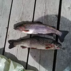 first catch of the season
