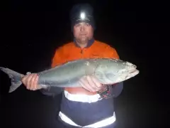 SALMON 3