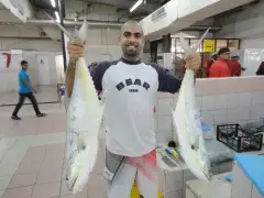 Two Queenfish for Dinner