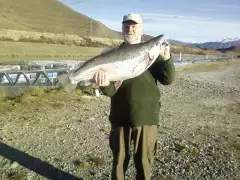 Fraction umder 28Lb rainbow from Twizel