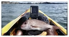 Kayak Fishing Winter Snapper