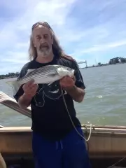 Striper from delta California