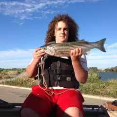 Striper. From delta Sacramento River ca