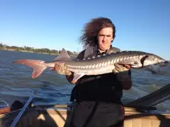 Harley"s first keeper 45 inch sturgeon