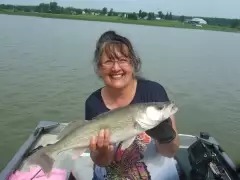 walleye