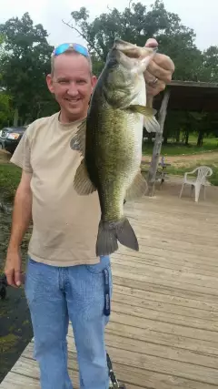 Pond Bass