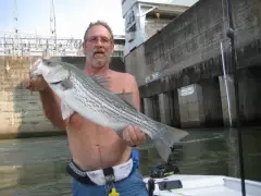 Melton hill Dam Tn.