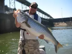 Fort Loudoun Dam Lenior City TN.