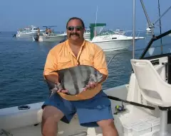 Citation Spadefish
