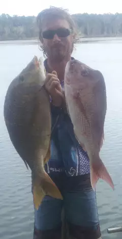 couple of fish