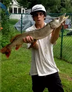 pike