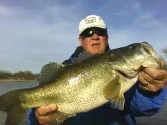 11 lb Bass from Lake Fork