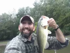Some more rain, some more fish!