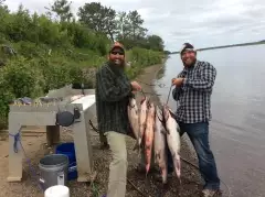 King Salmon Fishing in Alaska