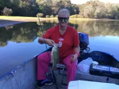 16" Bass caught in Dover