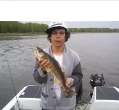 walleye