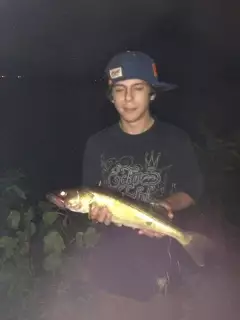 My first walleye-Like gold