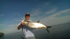 My first Tarpon