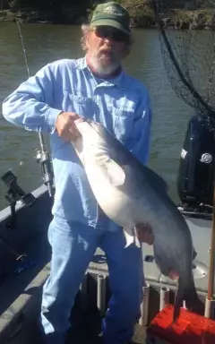 Fort Loudoun Lake TN.