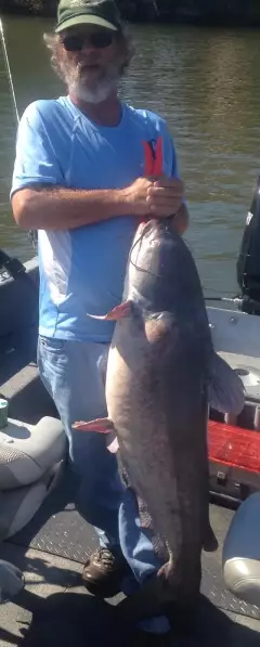 Fort Loudoun Lake TN.