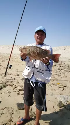 Rare Catch