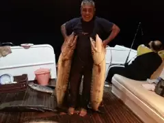 Big Baracuda