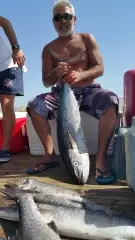 Tuna