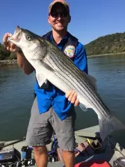 Striped Bass