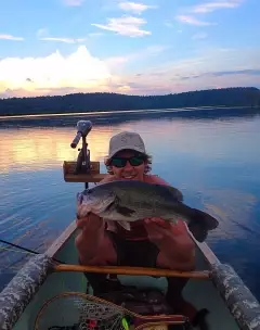 Large mouth bass 4.5lbs