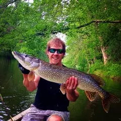 Pike on the fly