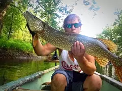Top water pike