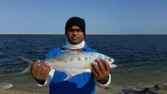 Abu Dhabi fishing 13/11/2015