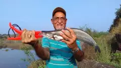 My catch on Sunday 29th November 2015