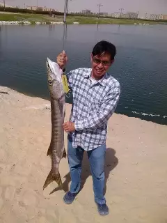 7kg baracuda catch in Al-Khobar Saudi Arabia