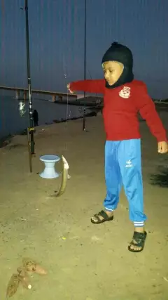 Abu Dhabi Fishing 12/12/2015