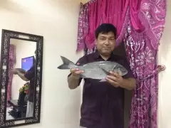 Awsome catch from UAE