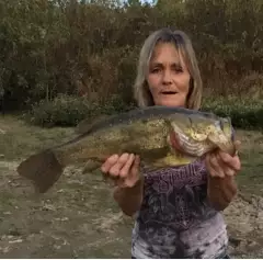 Small pond - Big Bass