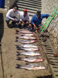 Snook heaven